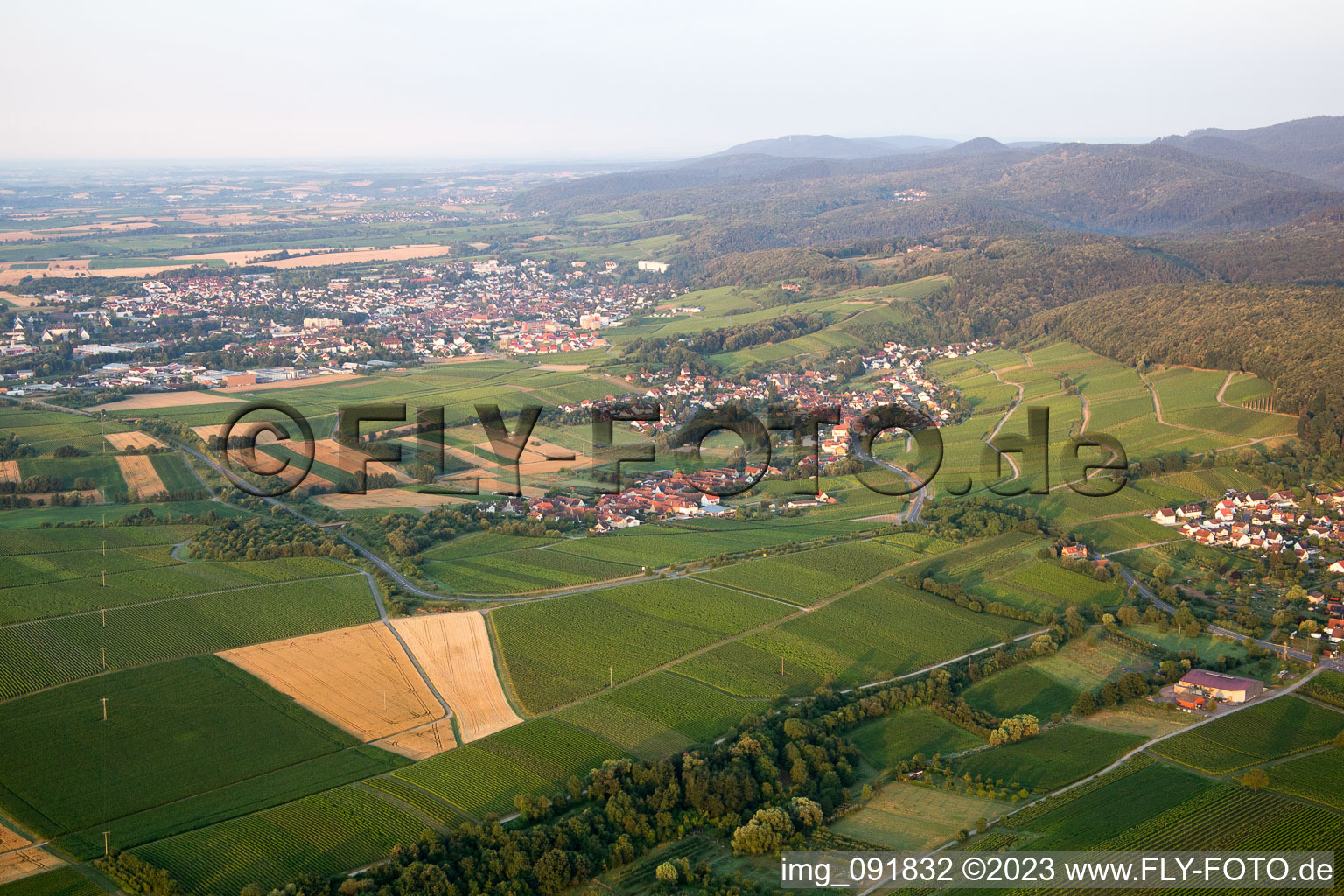 Vue aérienne de Quartier Oberhofen in Pleisweiler-Oberhofen dans le département Rhénanie-Palatinat, Allemagne