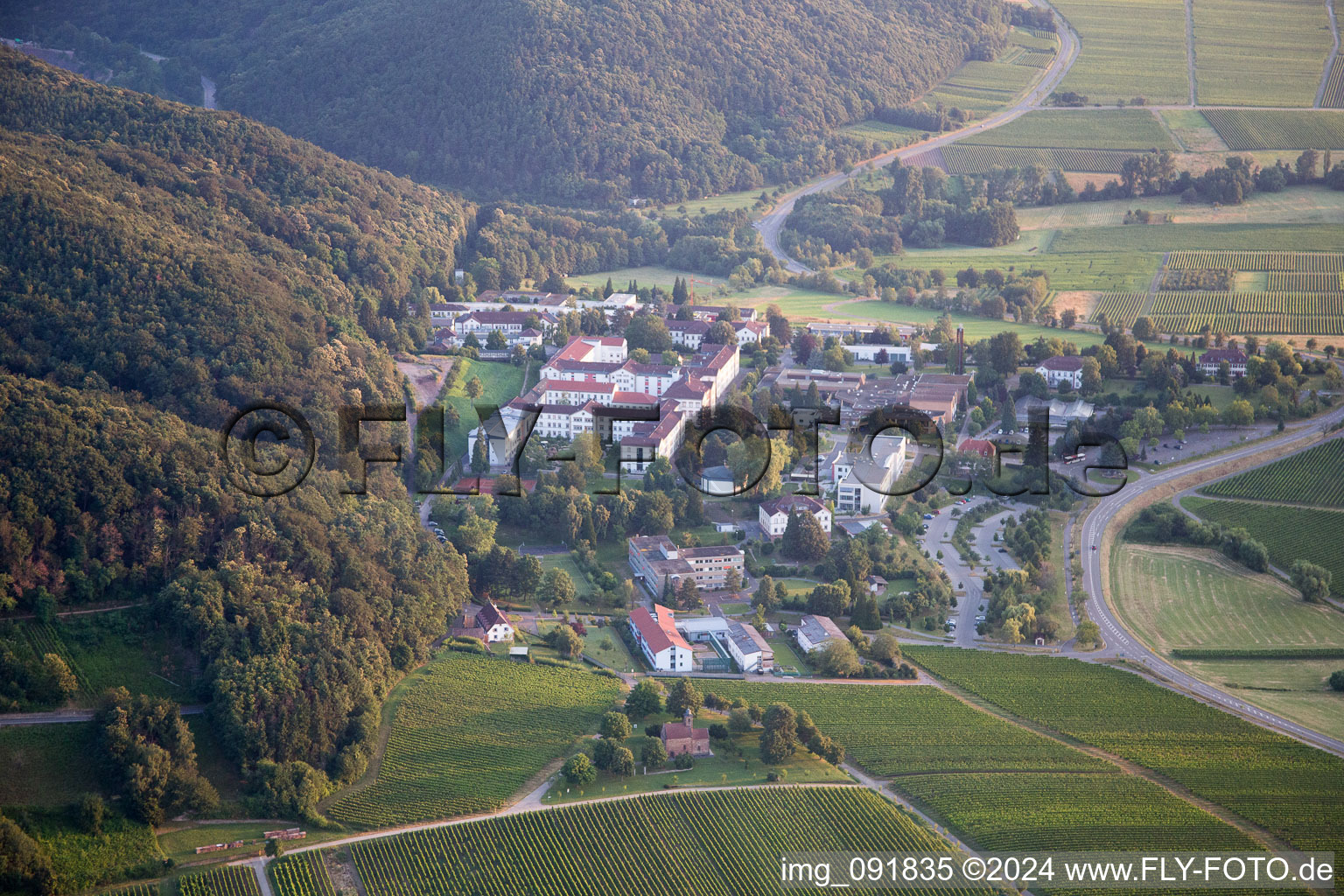 Image drone de Klingenmünster dans le département Rhénanie-Palatinat, Allemagne