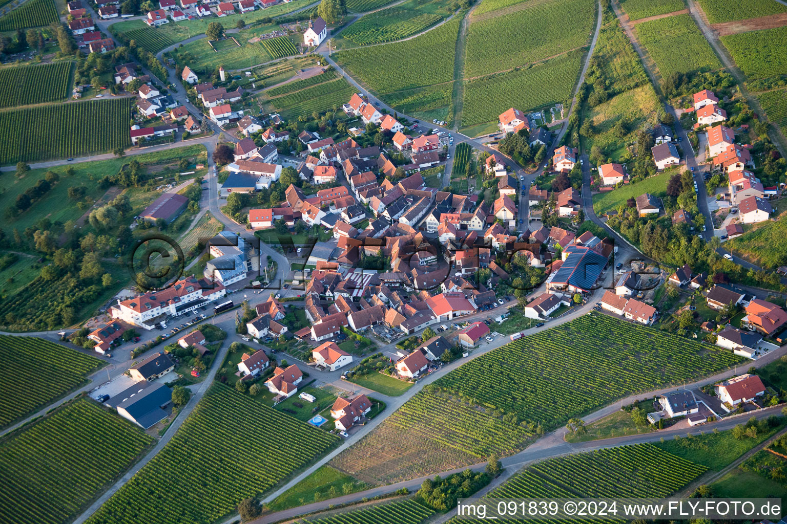 Vue aérienne de Champs agricoles et surfaces utilisables à le quartier Gleiszellen in Gleiszellen-Gleishorbach dans le département Rhénanie-Palatinat, Allemagne