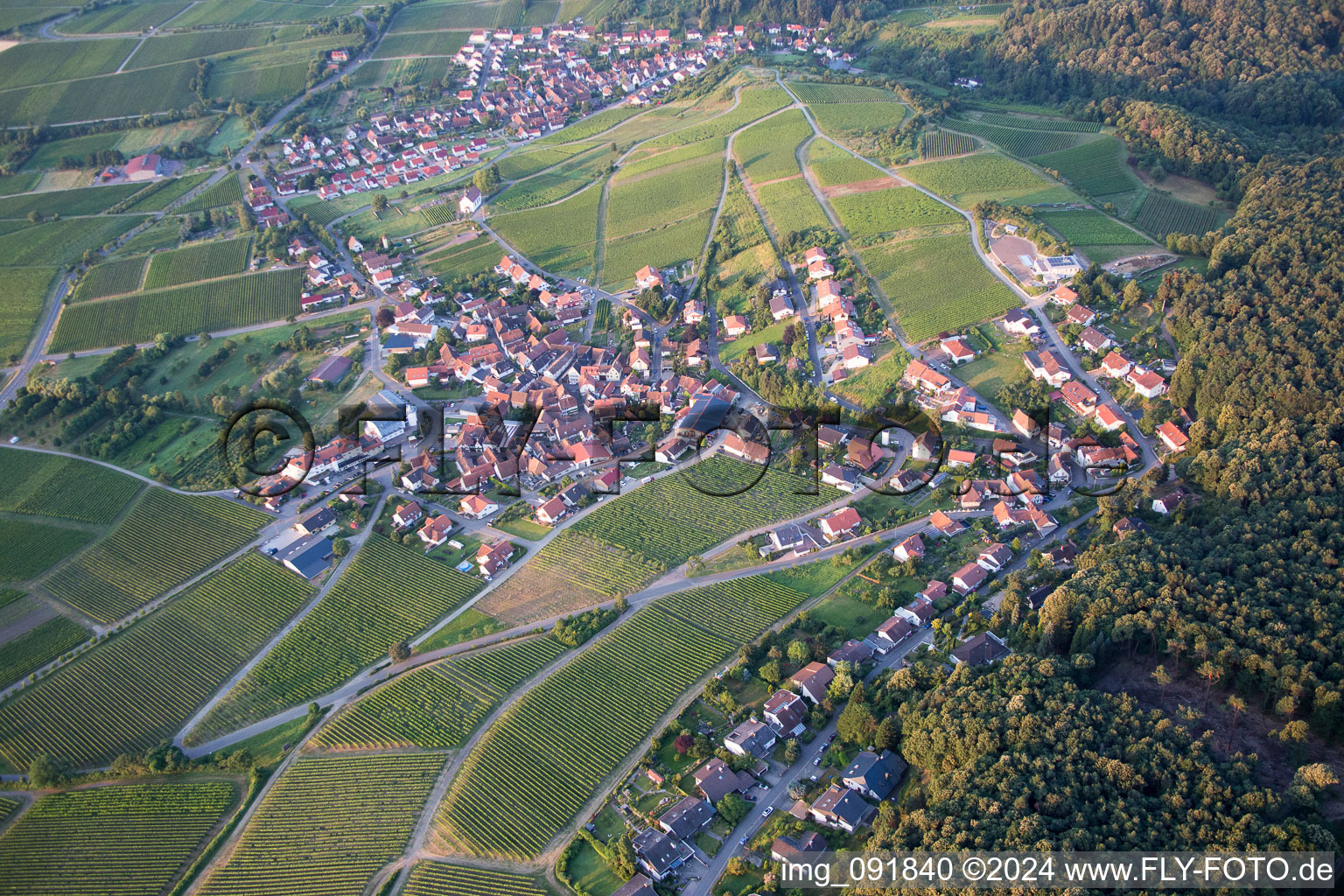 Vue aérienne de Champs agricoles et surfaces utilisables à le quartier Gleiszellen in Gleiszellen-Gleishorbach dans le département Rhénanie-Palatinat, Allemagne