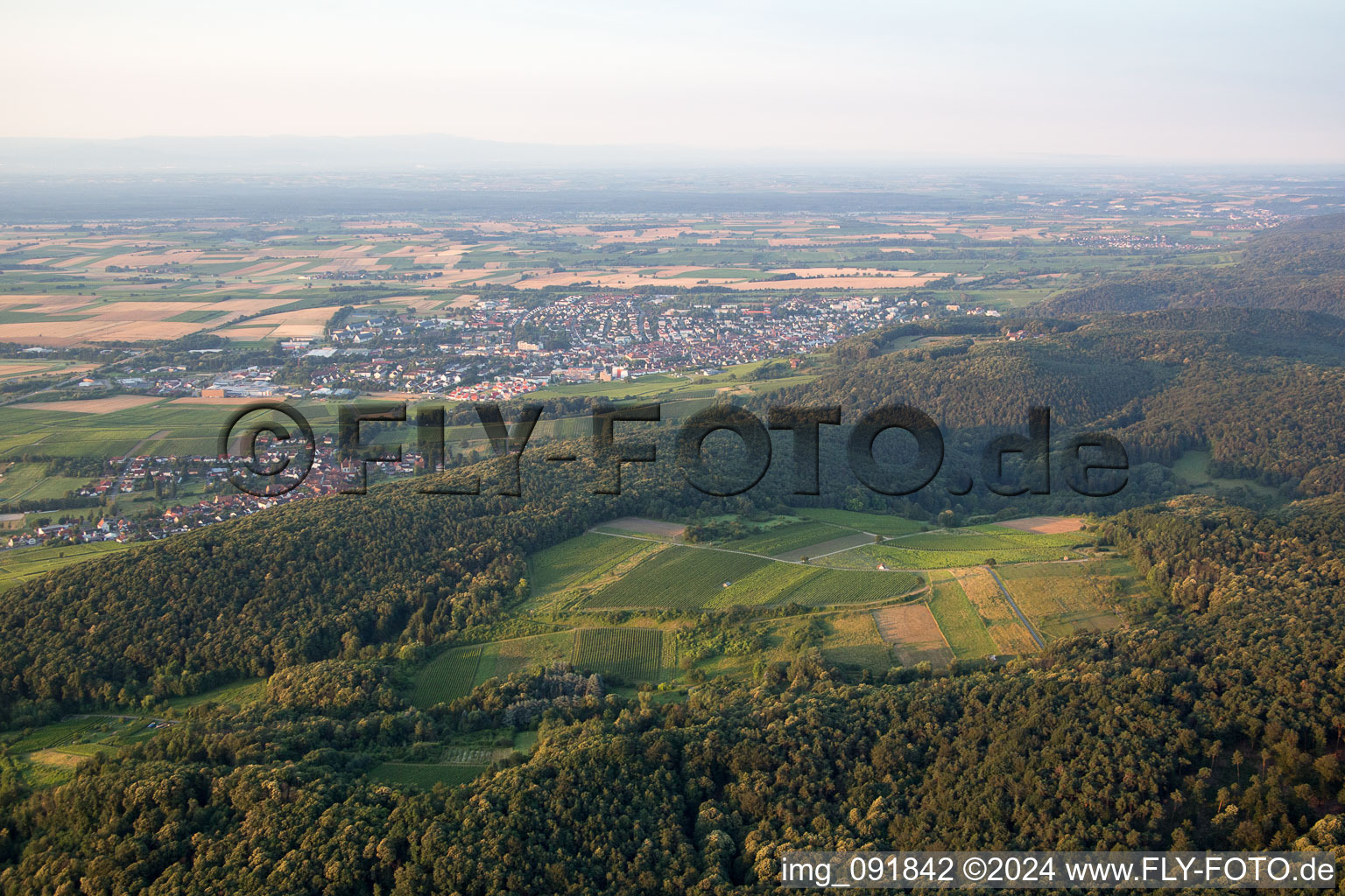 Vue aérienne de Haardtrand Wolfsteig à Pleisweiler-Oberhofen dans le département Rhénanie-Palatinat, Allemagne