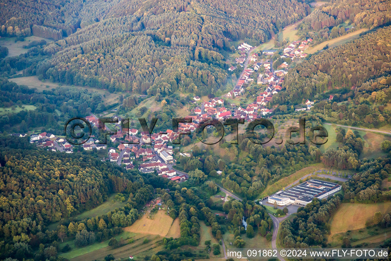 Vue aérienne de Schwanheim dans le département Rhénanie-Palatinat, Allemagne