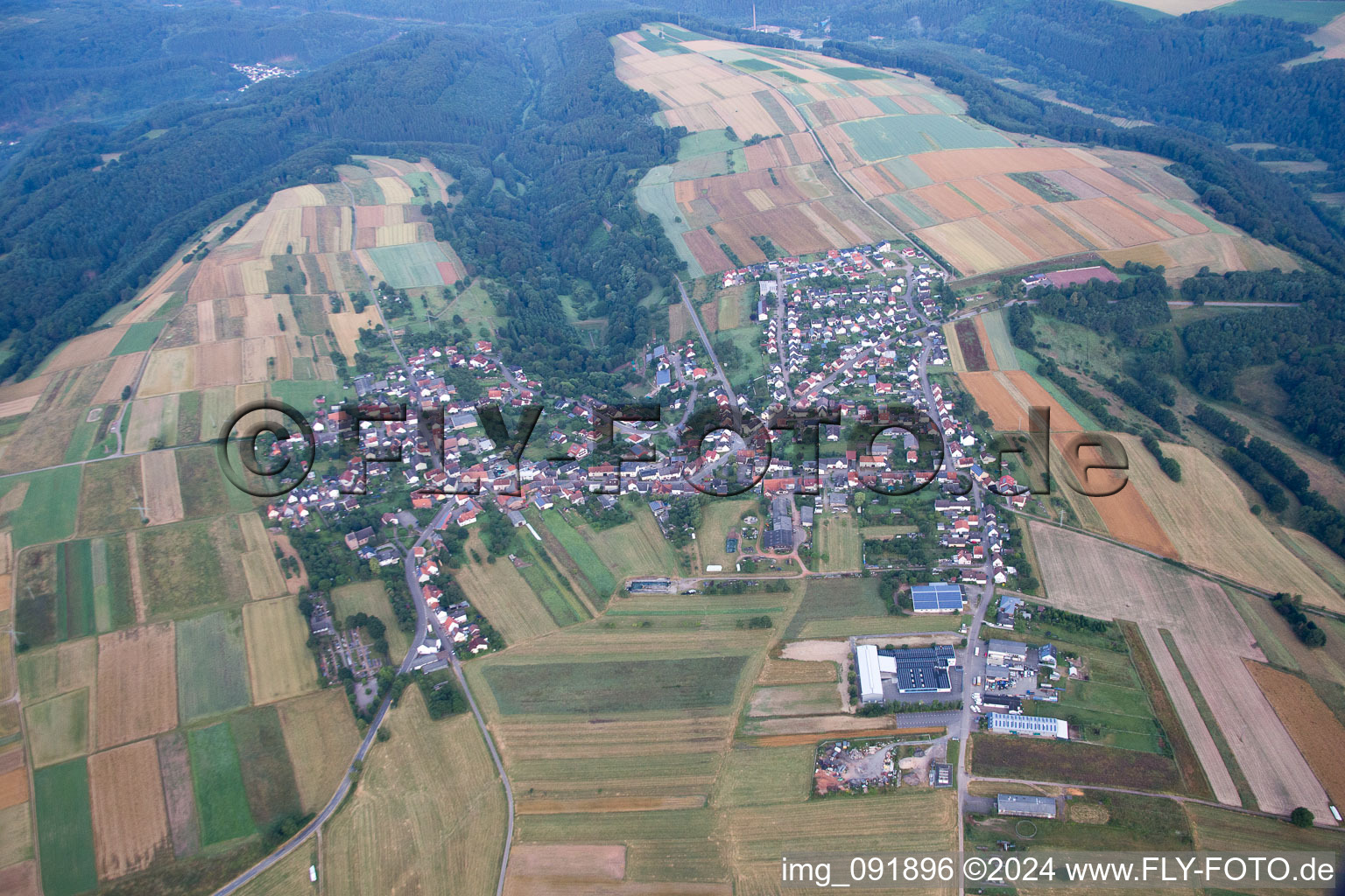 Photographie aérienne de Champs agricoles et surfaces utilisables à Donsieders dans le département Rhénanie-Palatinat, Allemagne