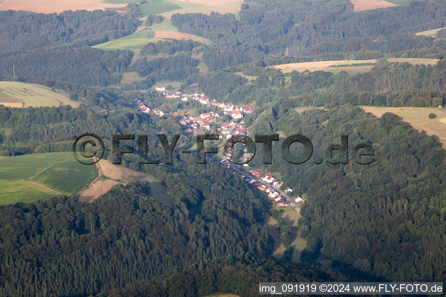 Labach dans le département Rhénanie-Palatinat, Allemagne d'en haut