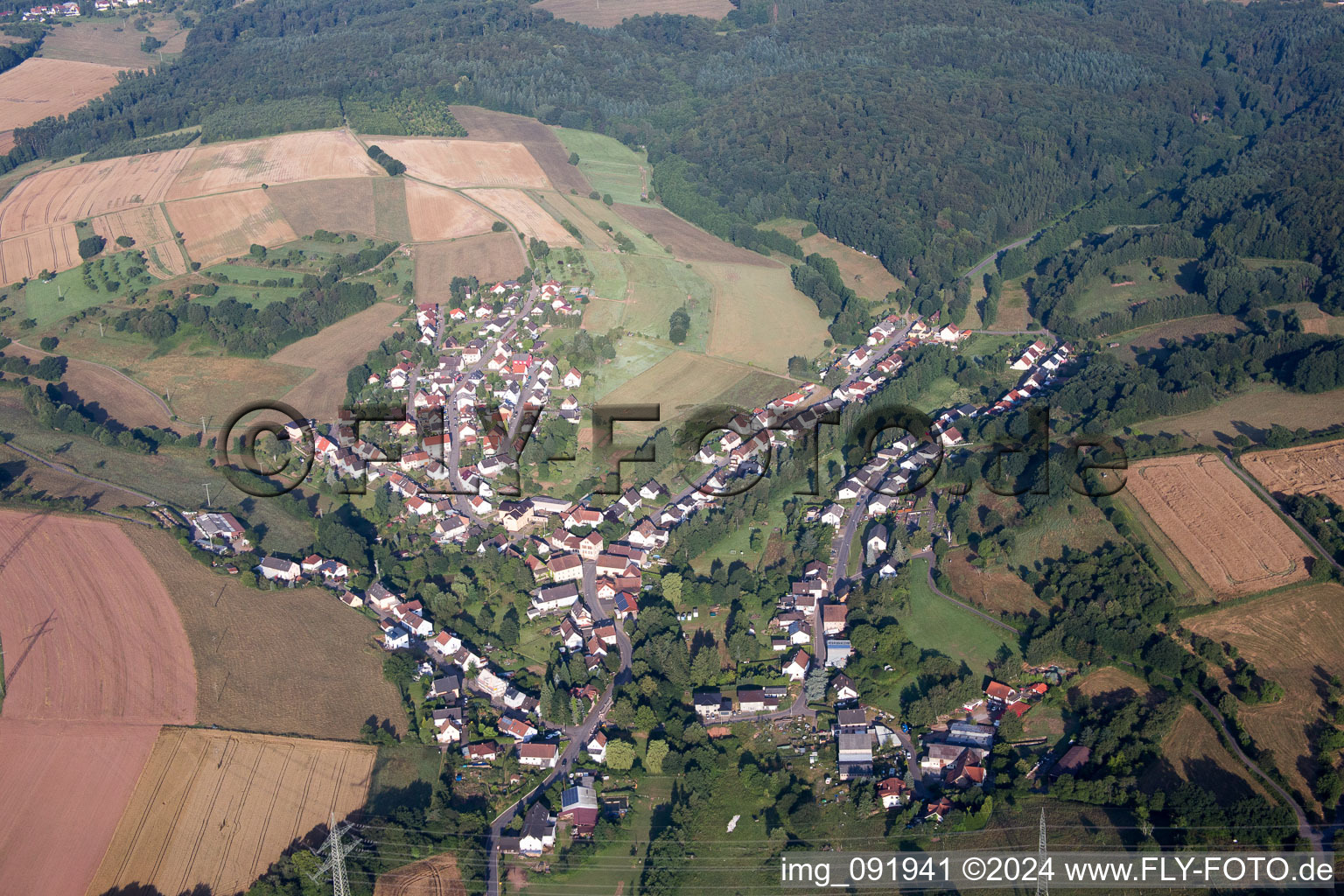 Vue aérienne de Schmittweiler dans le département Rhénanie-Palatinat, Allemagne