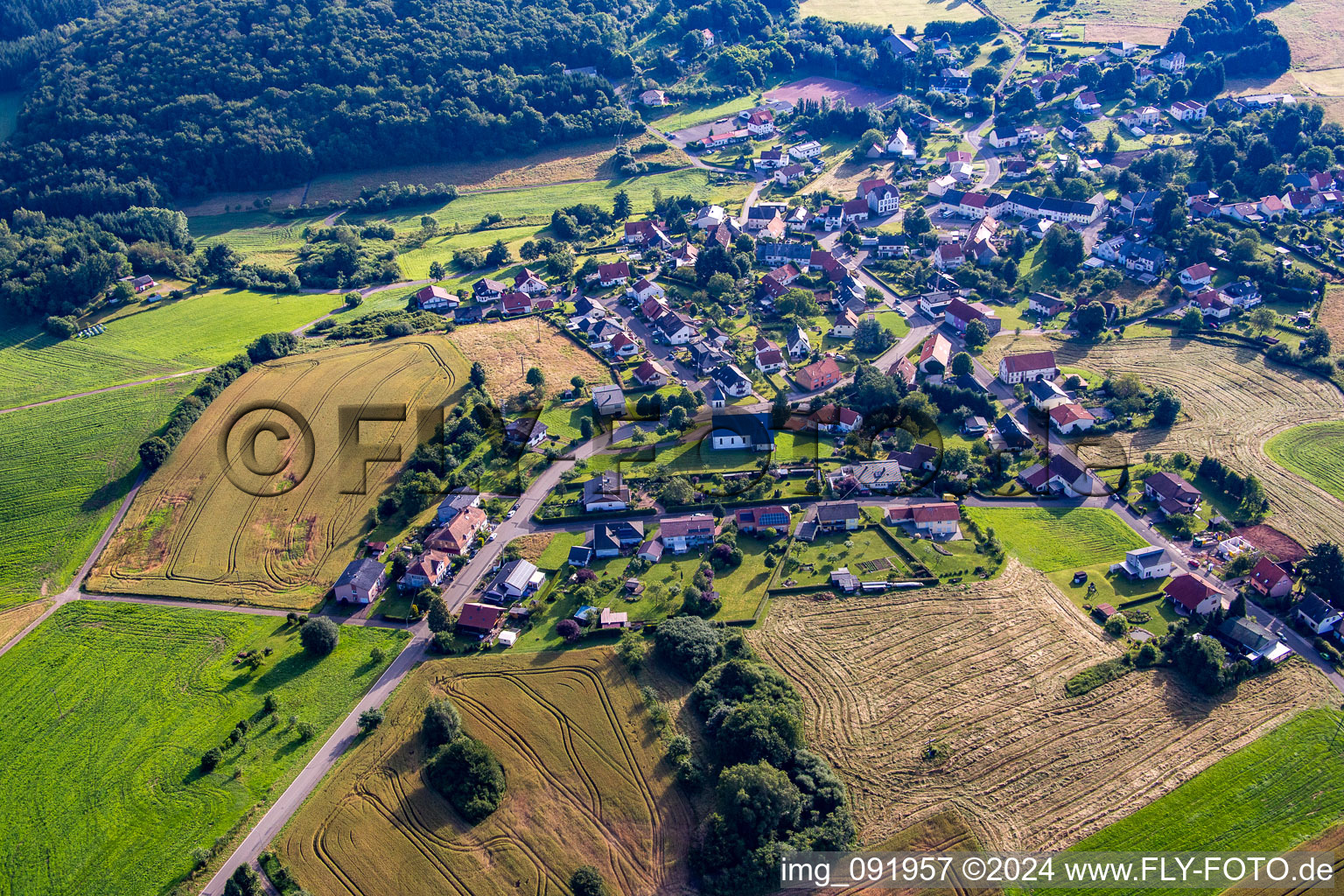 Vue aérienne de Quartier Reitscheid in Freisen dans le département Sarre, Allemagne