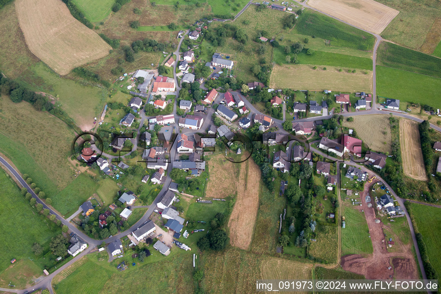 Vue d'oiseau de Dambach dans le département Rhénanie-Palatinat, Allemagne