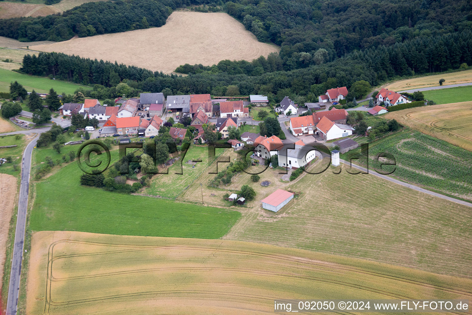 Vue aérienne de Reichsthal dans le département Rhénanie-Palatinat, Allemagne