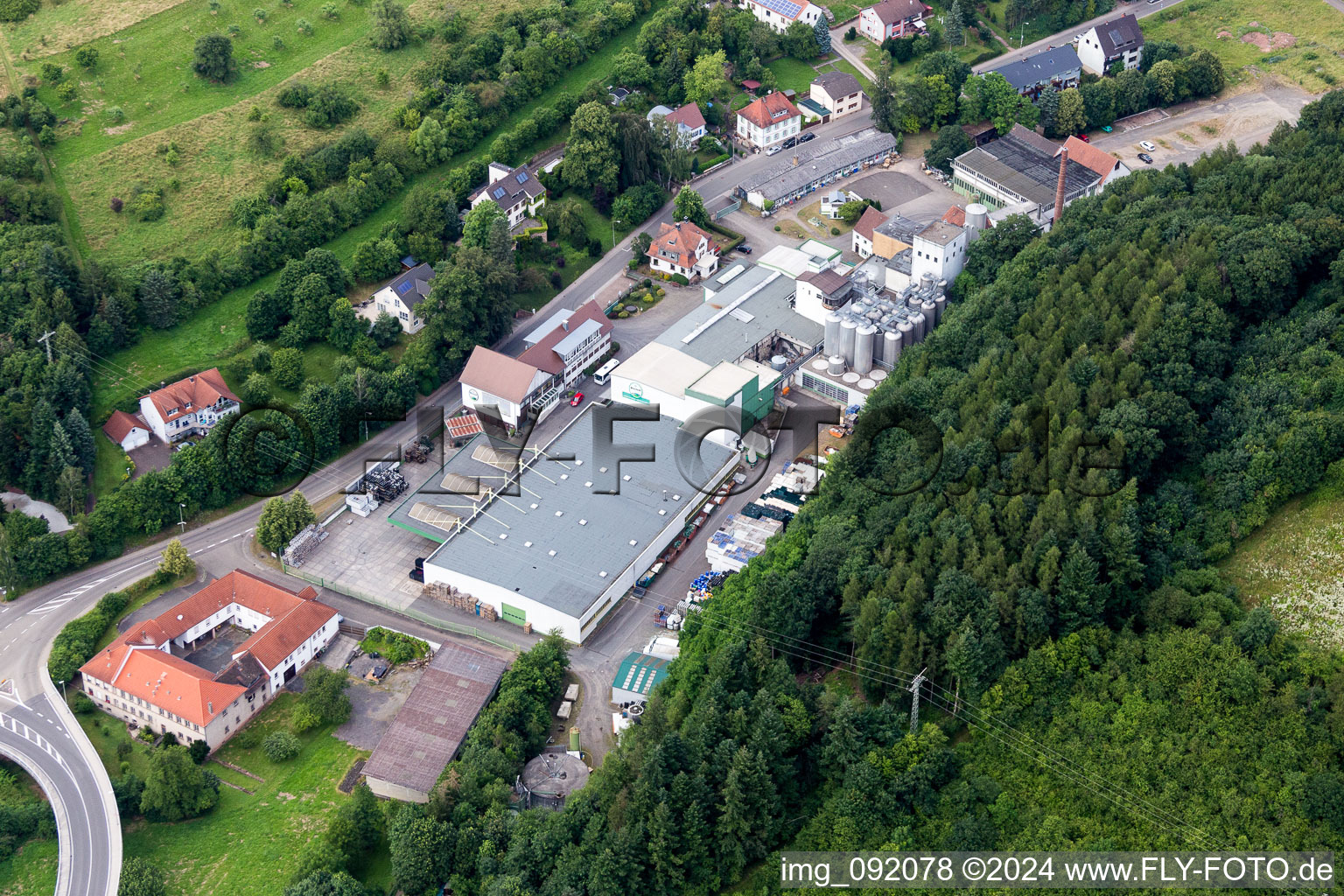 Vue aérienne de Locaux d'usine de la brasserie Privatbrauerei Bischoff GmbH & Co. KG à Winnweiler dans le département Rhénanie-Palatinat, Allemagne