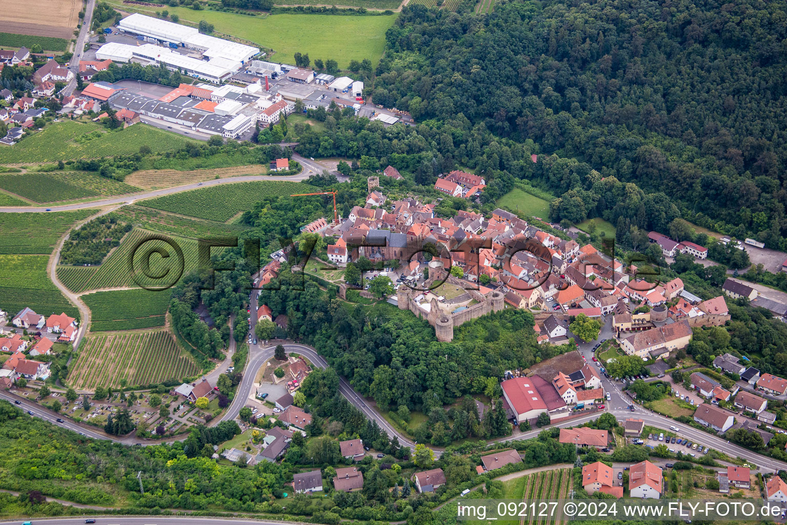 Vue aérienne de Neuleiningen dans le département Rhénanie-Palatinat, Allemagne