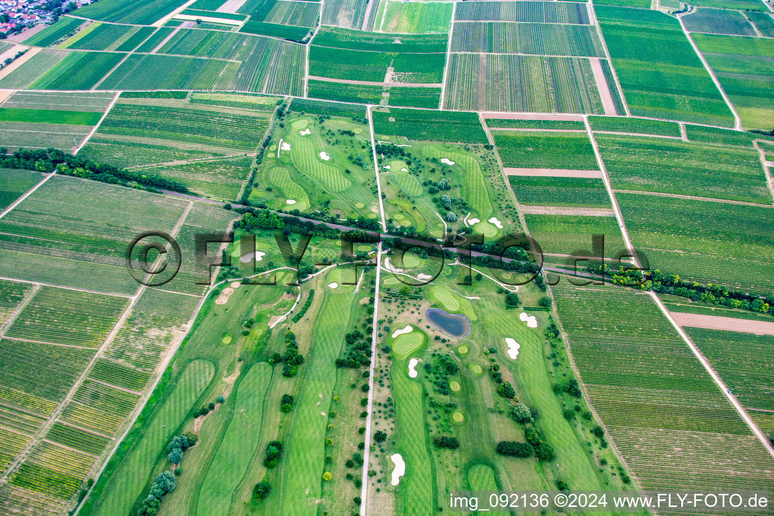 Vue aérienne de Club de golf à Dackenheim dans le département Rhénanie-Palatinat, Allemagne