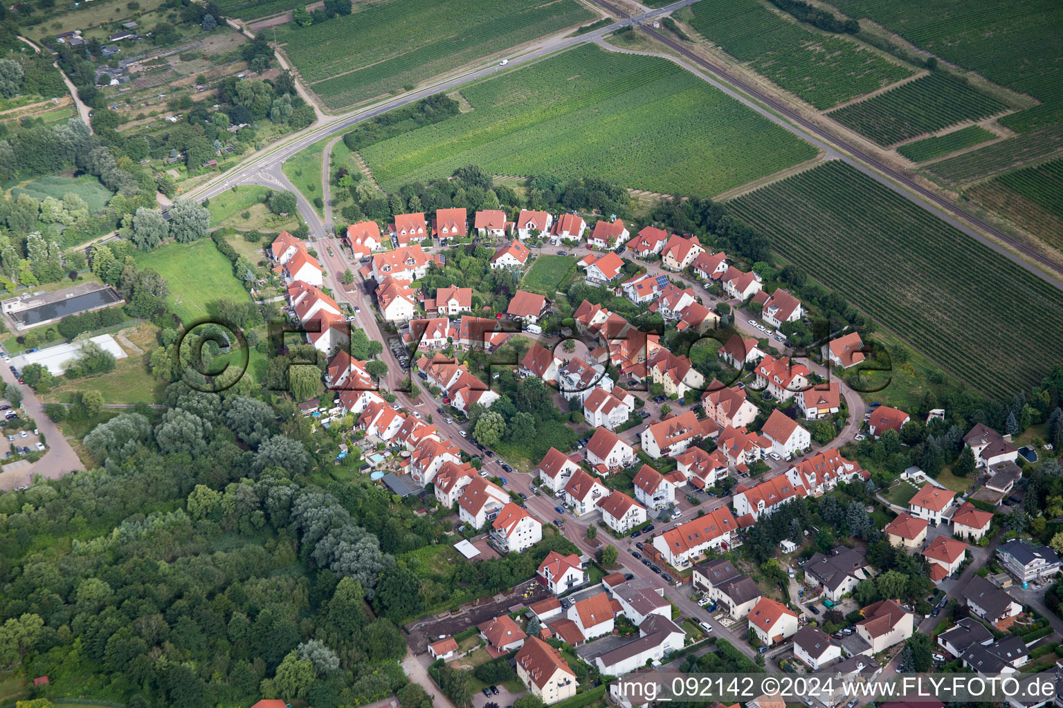 Freinsheim dans le département Rhénanie-Palatinat, Allemagne depuis l'avion