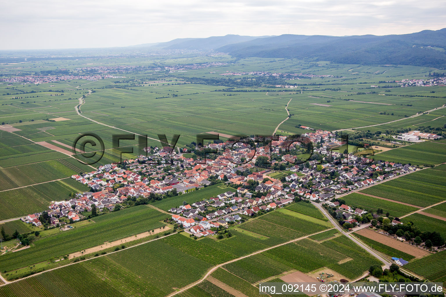 Vue aérienne de Gönnheim dans le département Rhénanie-Palatinat, Allemagne