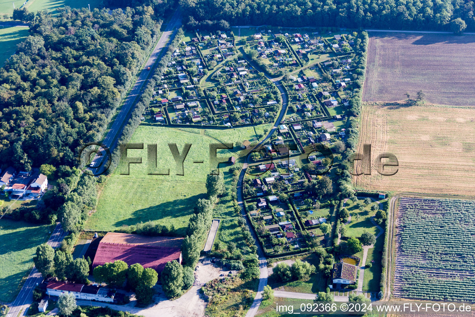 Vue aérienne de Parcelles d'un jardin familial en l'état à le quartier Wiesental in Waghäusel dans le département Bade-Wurtemberg, Allemagne