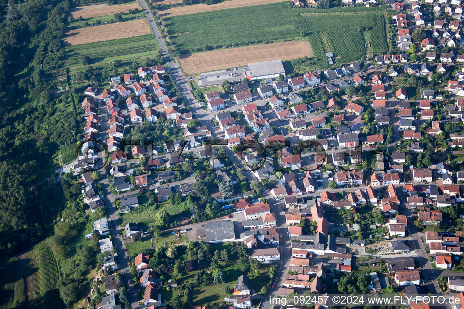 Vue aérienne de Quartier Berghausen in Römerberg dans le département Rhénanie-Palatinat, Allemagne