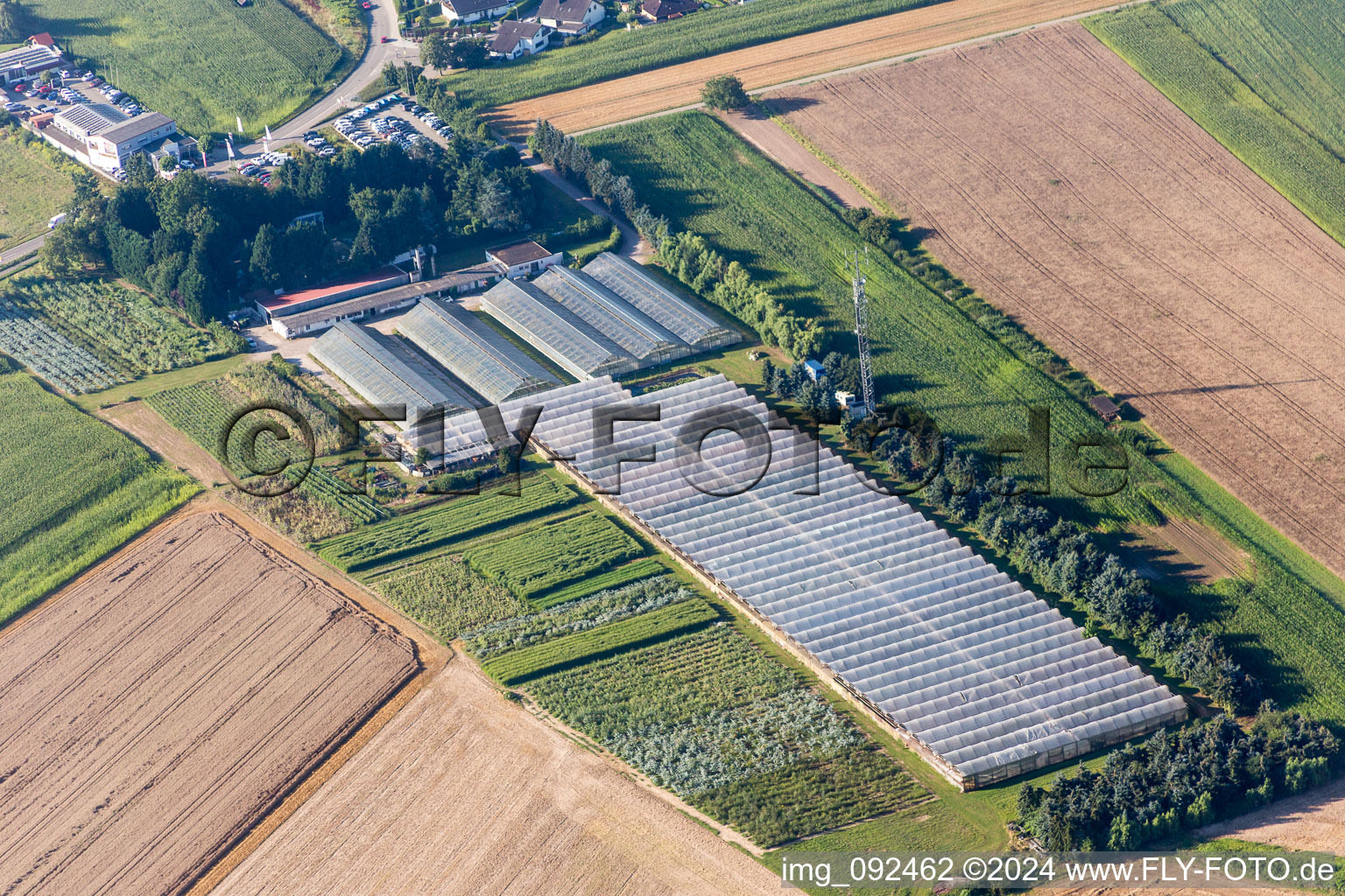 Vue aérienne de Surfaces de verrière dans les rangées de serres pour la culture de fleurs chez Hirt Blumen GmbH à le quartier Mechtersheim in Römerberg dans le département Rhénanie-Palatinat, Allemagne