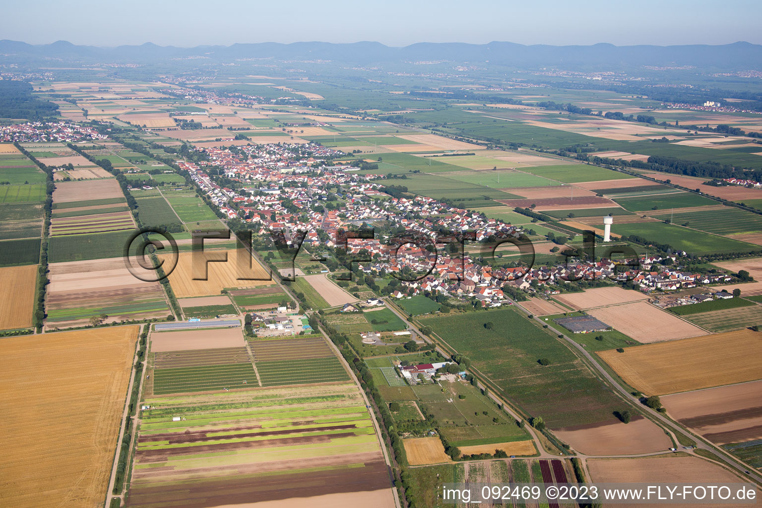 Vue aérienne de Lustadt dans le département Rhénanie-Palatinat, Allemagne
