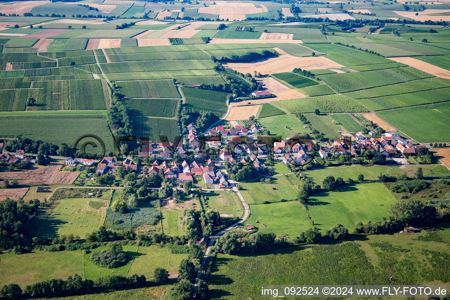 Hergersweiler dans le département Rhénanie-Palatinat, Allemagne vu d'un drone