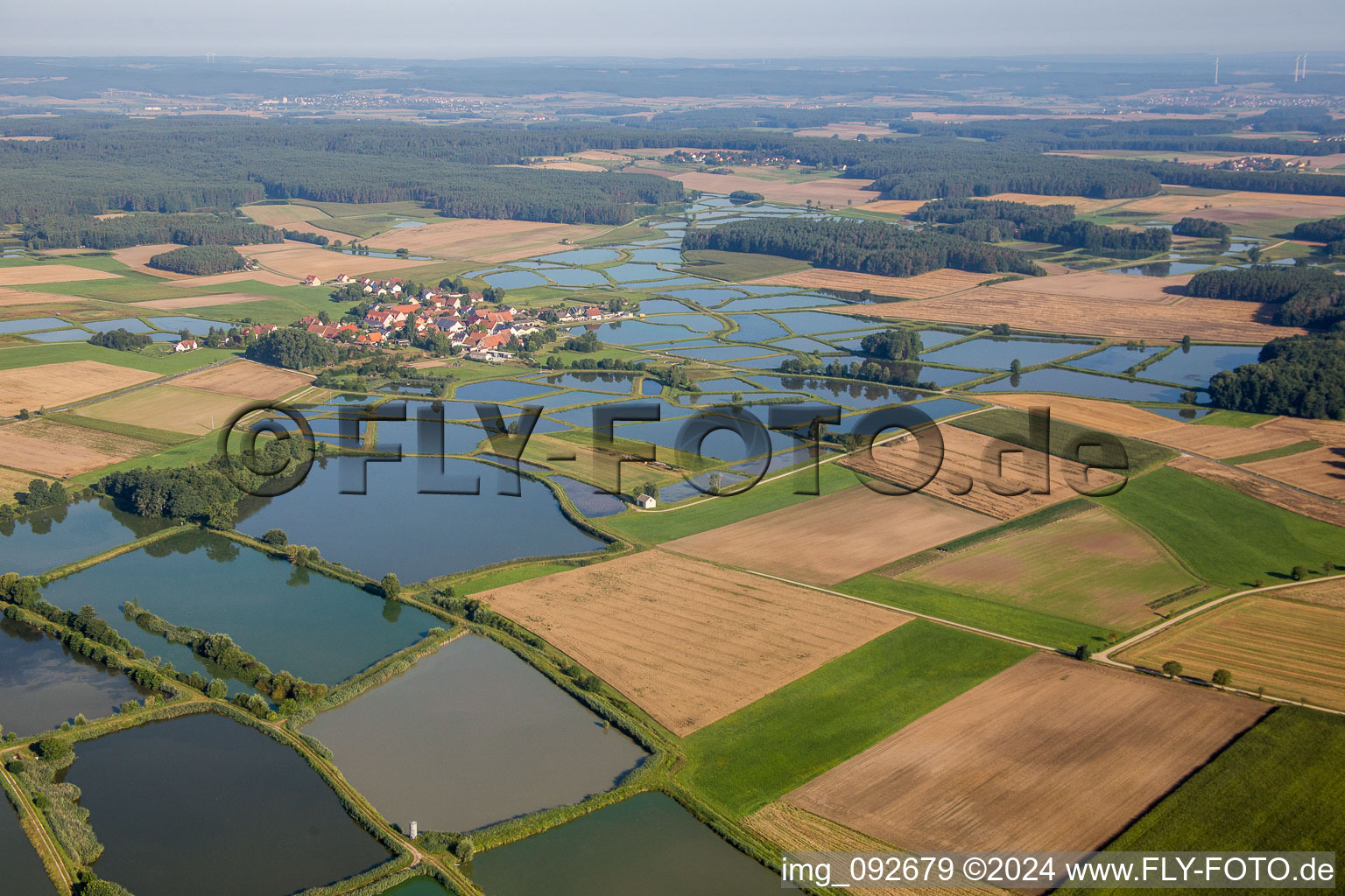 Vue aérienne de Systèmes d'étangs pour l'élevage de carpes dans le Großer Bodenweier à Weisendorf dans le département Bavière, Allemagne