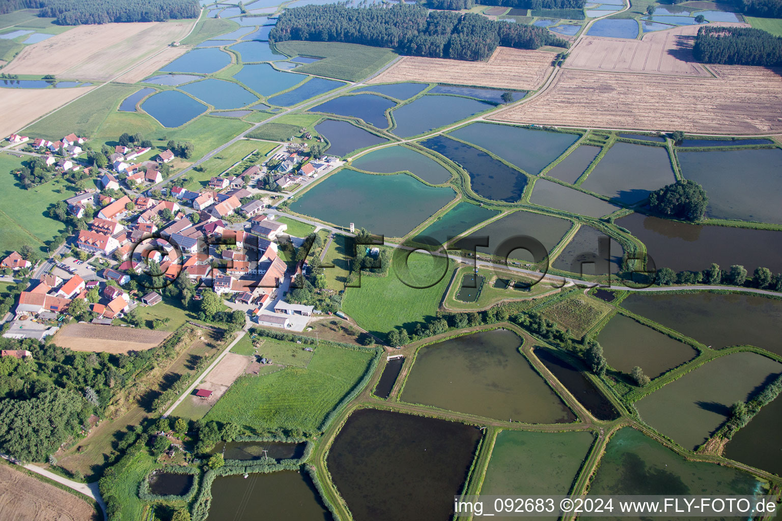 Vue aérienne de Systèmes d'étangs pour la pisciculture Étangs d'élevage de carpes de Franconie à Oberlindach près d'Erlangen à Weisendorf dans le département Bavière, Allemagne