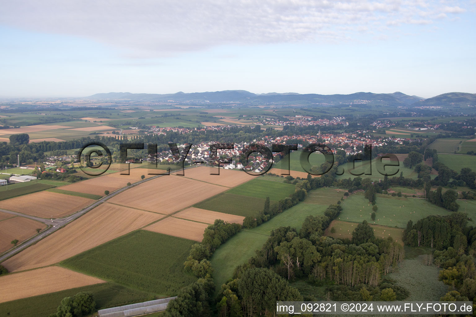 Photographie aérienne de Quartier Billigheim in Billigheim-Ingenheim dans le département Rhénanie-Palatinat, Allemagne