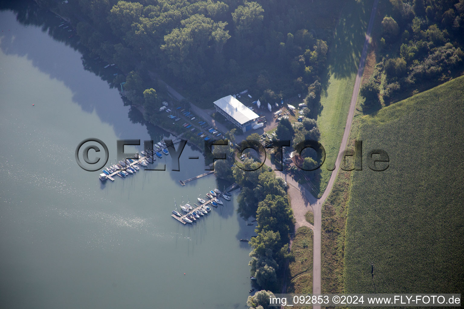 Vue aérienne de Club de voile à le quartier Maximiliansau in Wörth am Rhein dans le département Rhénanie-Palatinat, Allemagne