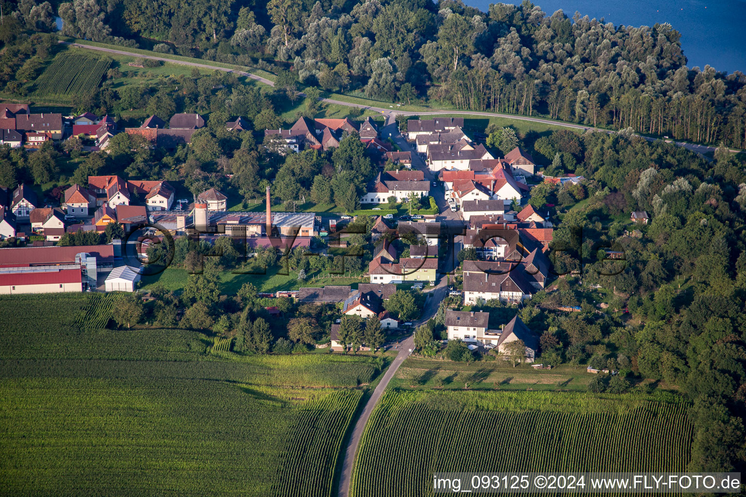 Vue aérienne de Fischerstr. à le quartier Helmlingen in Rheinau dans le département Bade-Wurtemberg, Allemagne