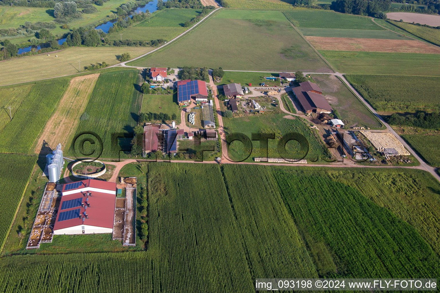 Vue aérienne de Propriété d'une ferme appartenant à Herbert Wollenbär à le quartier Ichenheim in Neuried dans le département Bade-Wurtemberg, Allemagne