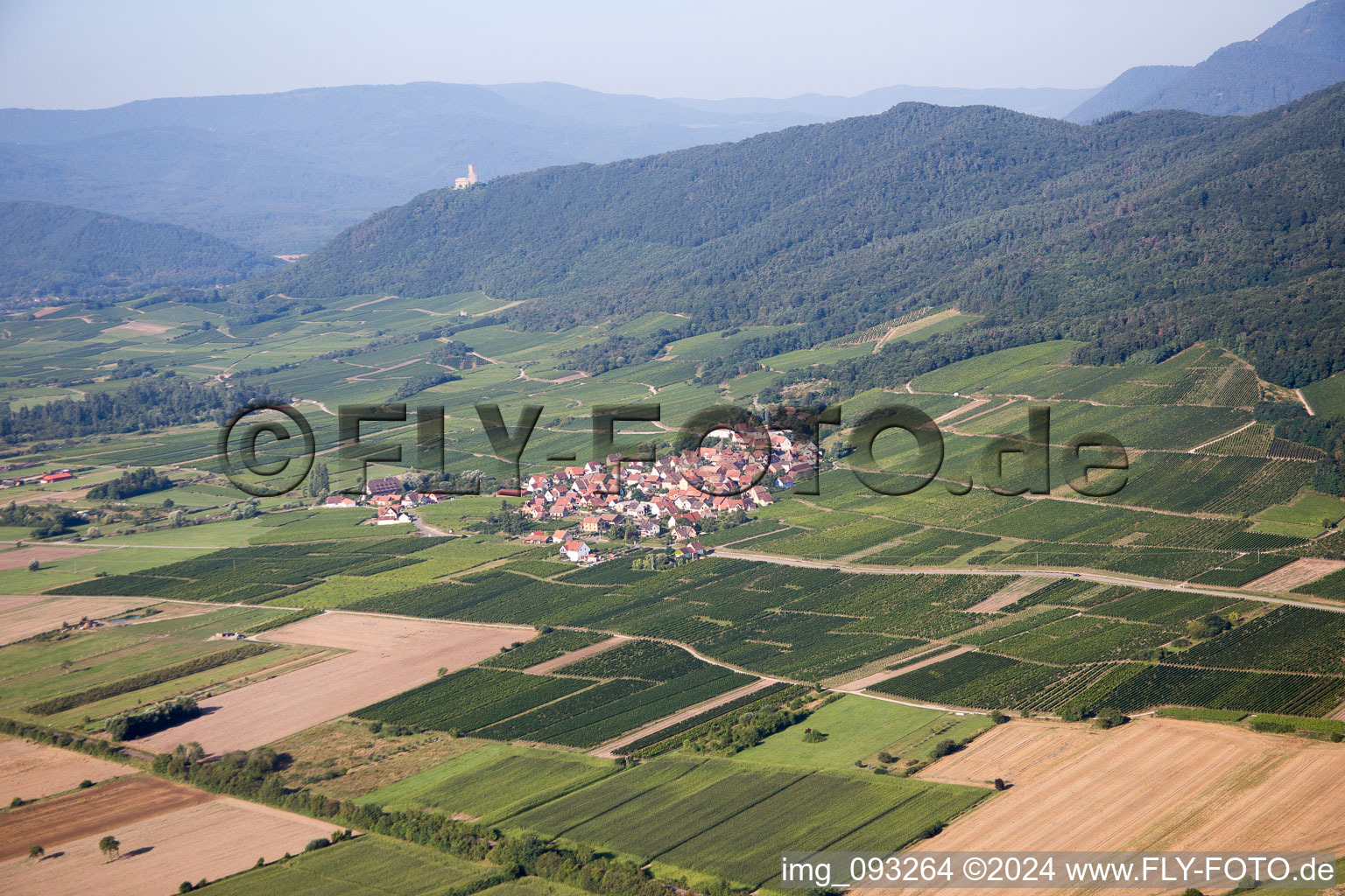 Vue aérienne de Champs agricoles et surfaces utilisables à Dieffenthal dans le département Bas Rhin, France