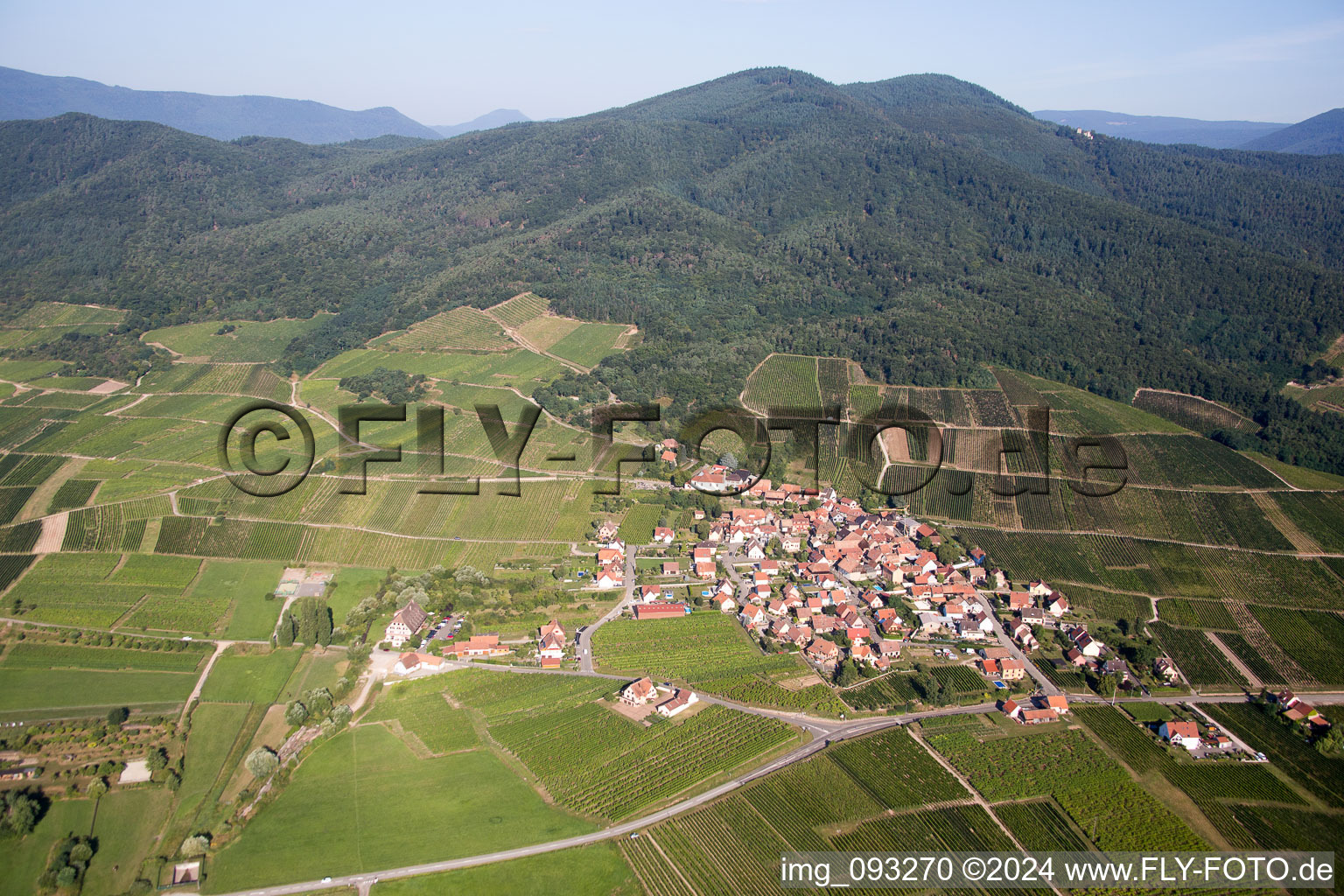 Vue oblique de Champs agricoles et surfaces utilisables à Dieffenthal dans le département Bas Rhin, France