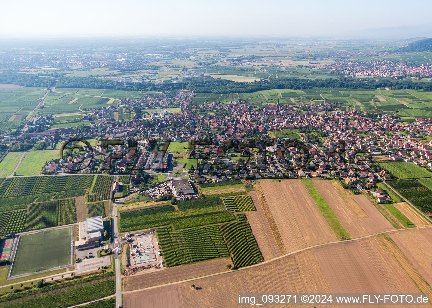 Vue aérienne de Vue des rues et des maisons des quartiers résidentiels à Scherwiller dans le département Bas Rhin, France