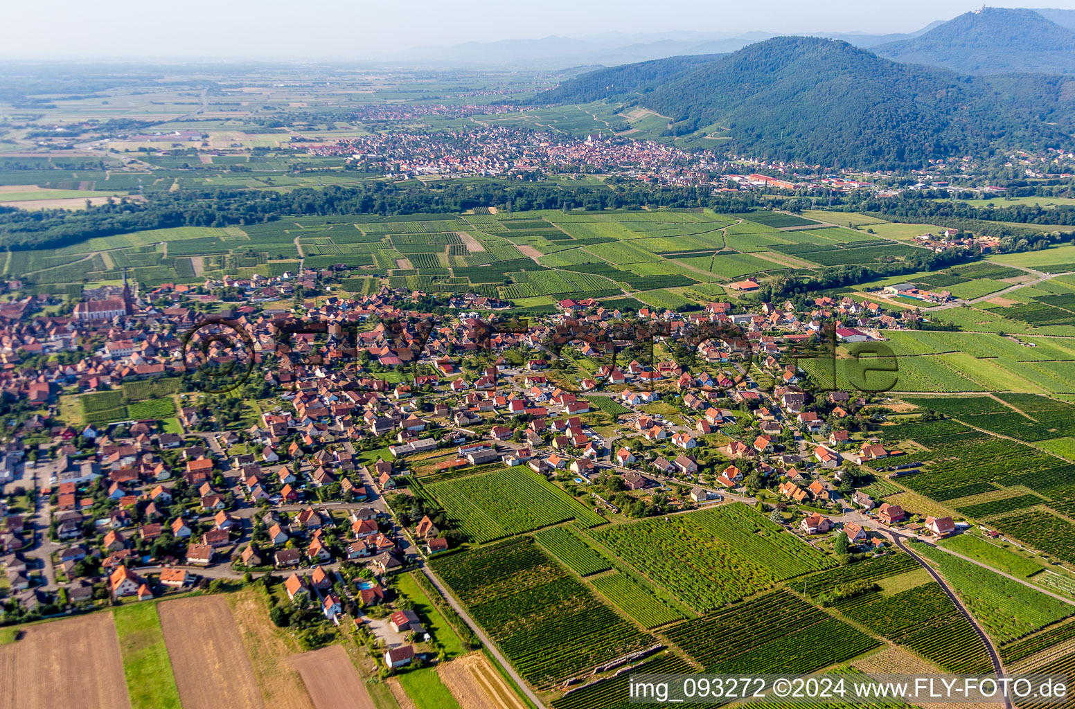 Vue aérienne de Vue des rues et des maisons des quartiers résidentiels à Scherwiller dans le département Bas Rhin, France