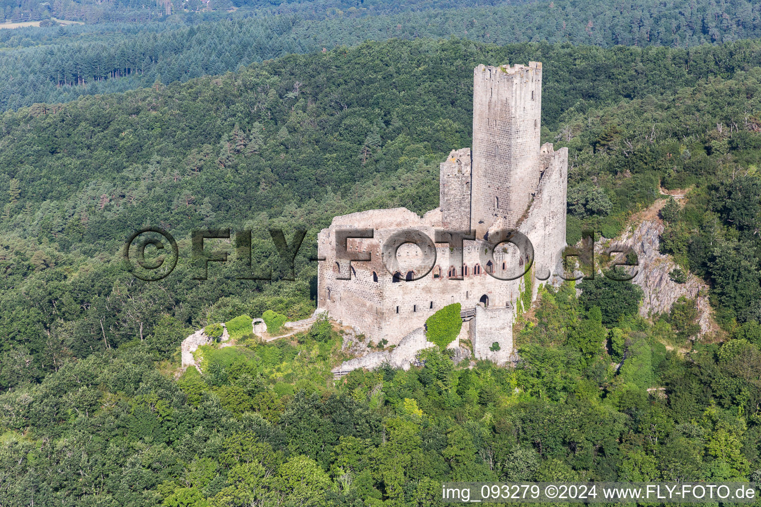 Vue aérienne de Ruines et vestiges des murs de l'ancien complexe du château et de la forteresse de Ramstein à Scherwiller dans le département Bas Rhin, France