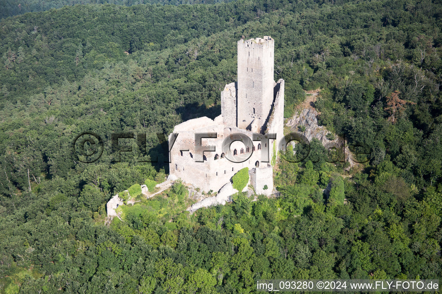 Photographie aérienne de L'Ortenbourg à Scherwiller dans le département Bas Rhin, France