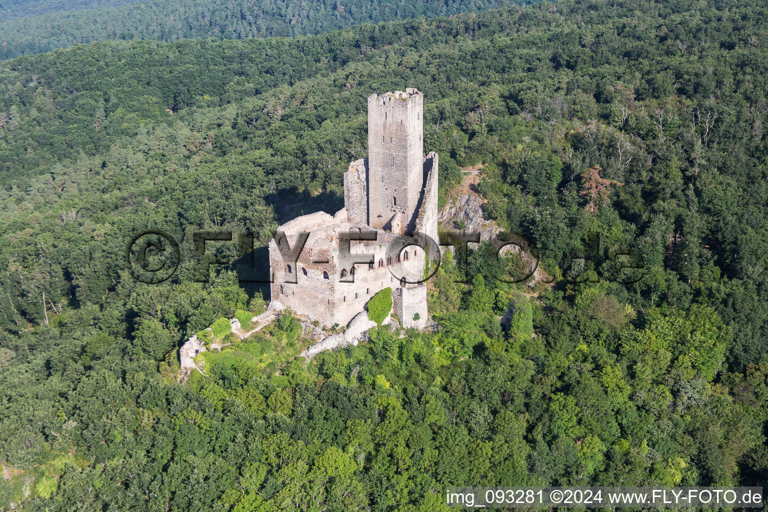 Vue aérienne de Ruines et vestiges des murs de l'ancien complexe du château et de la forteresse de Ramstein à Scherwiller dans le département Bas Rhin, France