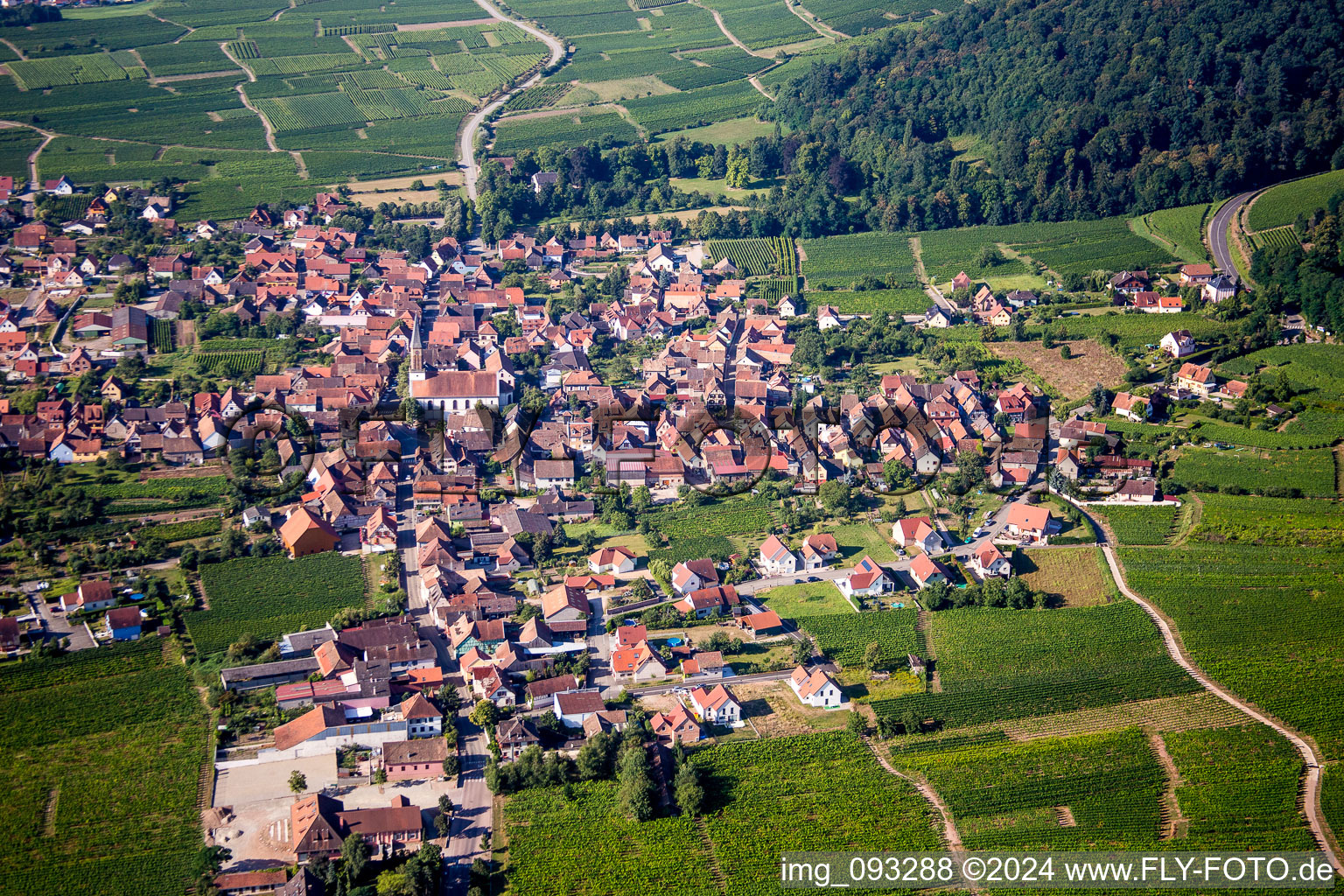 Vue aérienne de Champs agricoles et surfaces utilisables à Kintzheim dans le département Bas Rhin, France