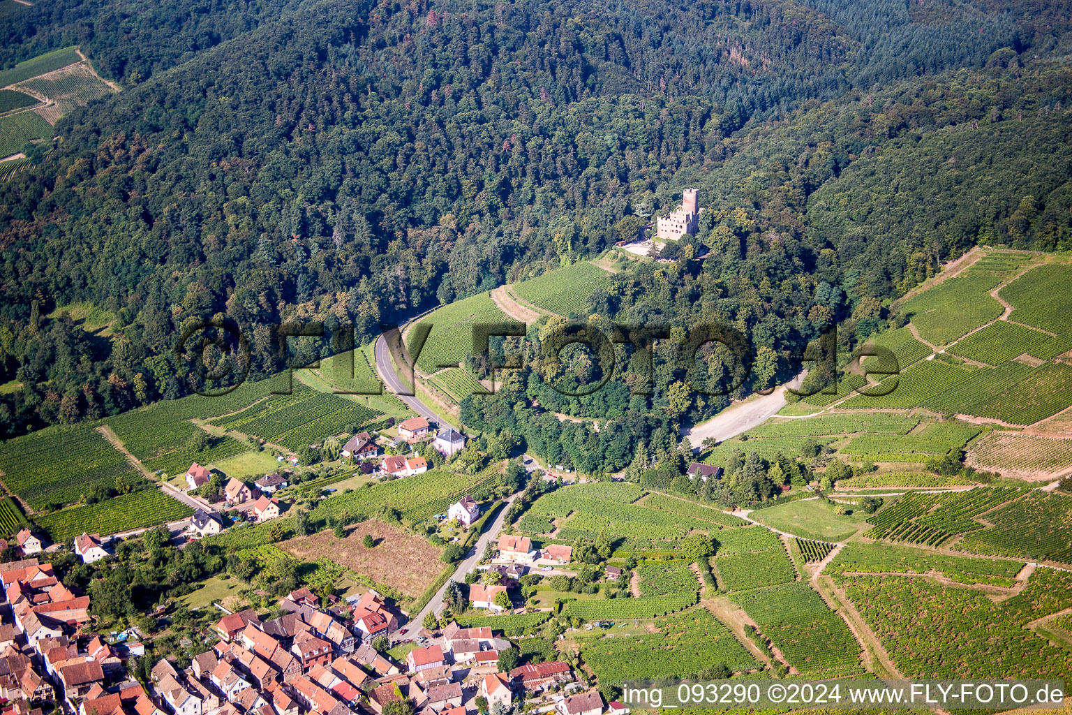 Vue aérienne de Ensemble châteaux du Château de Kintzheim à Kintzheim dans le département Bas Rhin, France