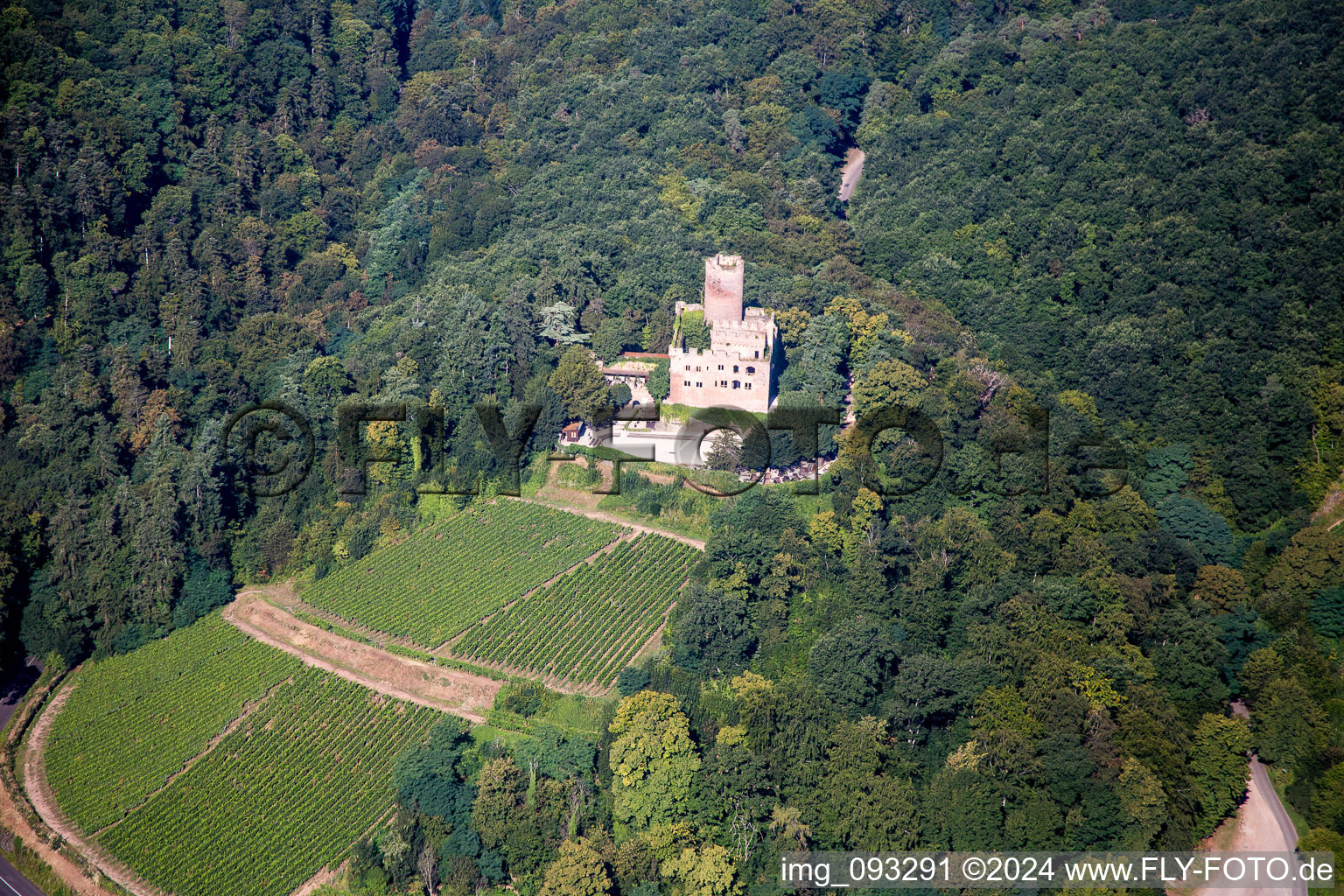 Vue aérienne de Ensemble châteaux du Château de Kintzheim à Kintzheim dans le département Bas Rhin, France