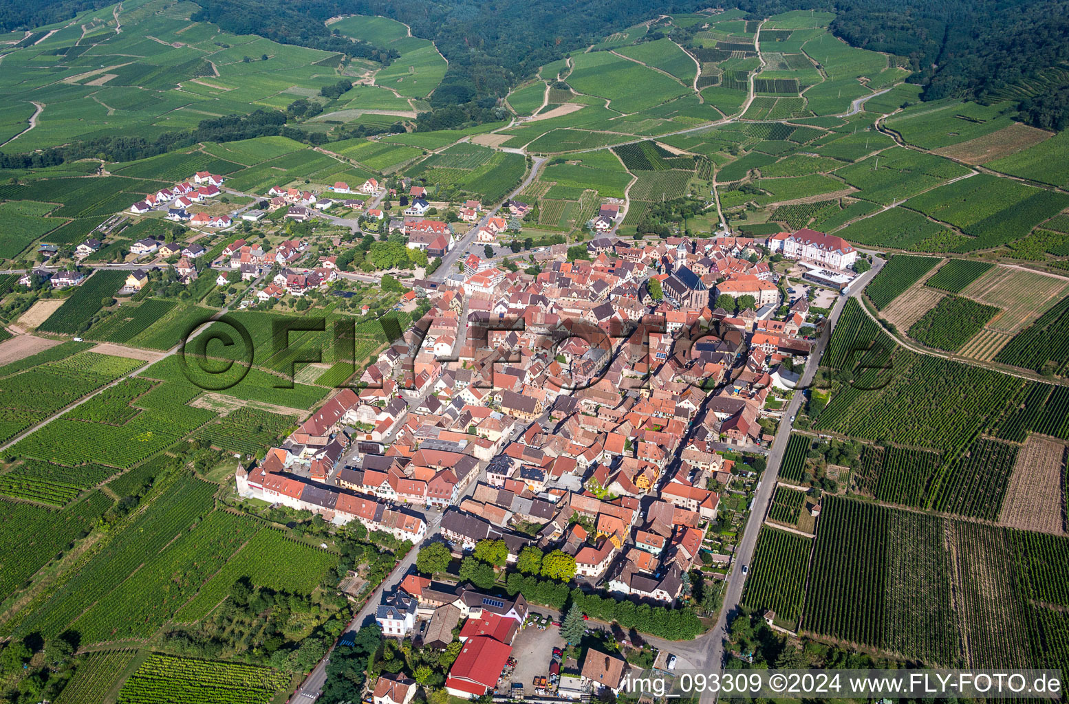 Vue aérienne de Vignobles à Saint-Hippolyte dans le département Haut-Rhin, France