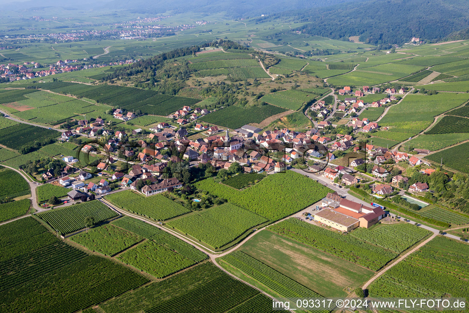 Vue aérienne de Champs agricoles et surfaces utilisables à Rorschwihr dans le département Haut-Rhin, France