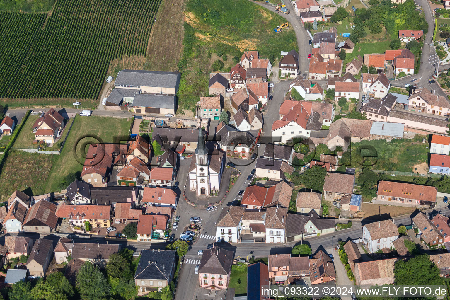 Photographie aérienne de Champs agricoles et surfaces utilisables à Rorschwihr dans le département Haut-Rhin, France