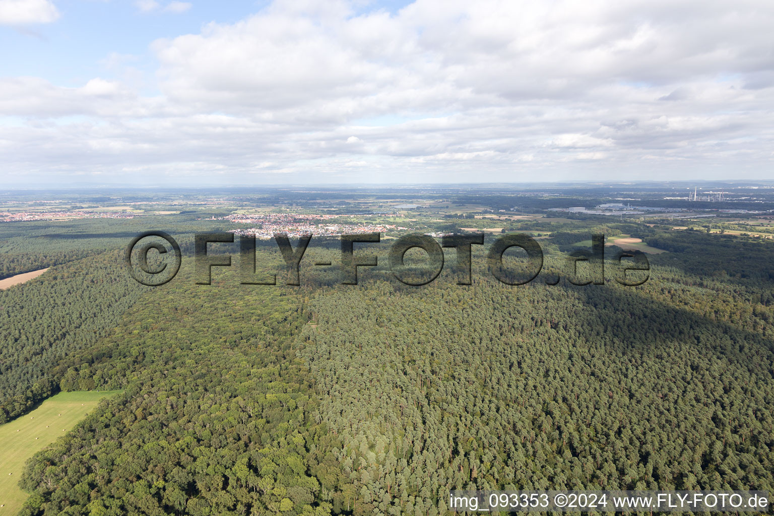 Kandel dans le département Rhénanie-Palatinat, Allemagne du point de vue du drone