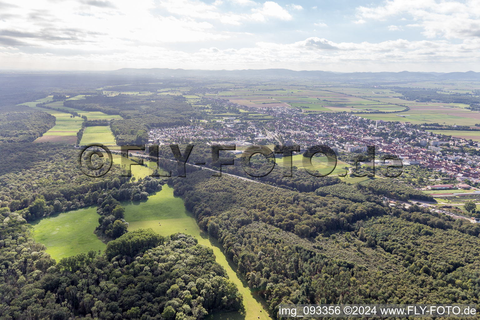 Vue aérienne de Zone forestière de Bienwald, avec clairières dans l'Otterbachtal à Kandel dans le département Rhénanie-Palatinat, Allemagne