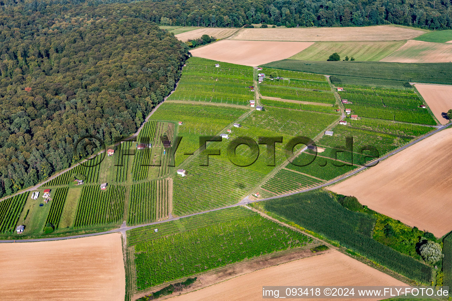 Vue aérienne de Hasensprung (Viticulture) à le quartier Jöhlingen in Walzbachtal dans le département Bade-Wurtemberg, Allemagne