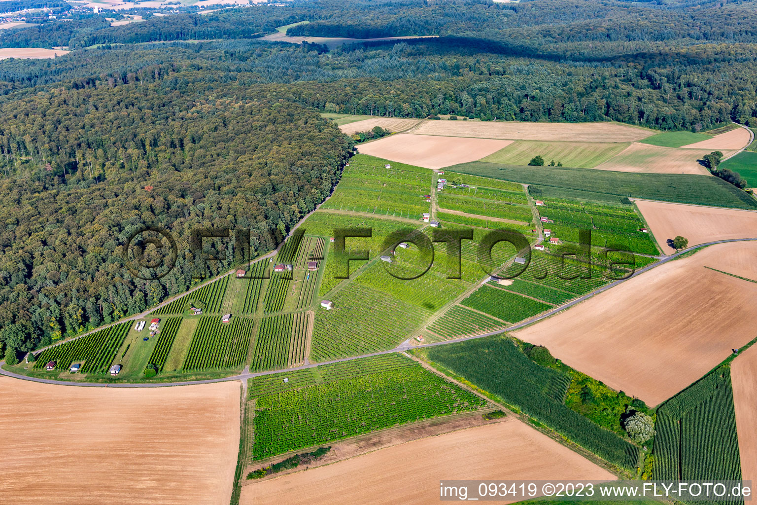 Vue aérienne de Paysage viticole des terroirs viticoles à le quartier Jöhlingen in Walzbachtal dans le département Bade-Wurtemberg, Allemagne