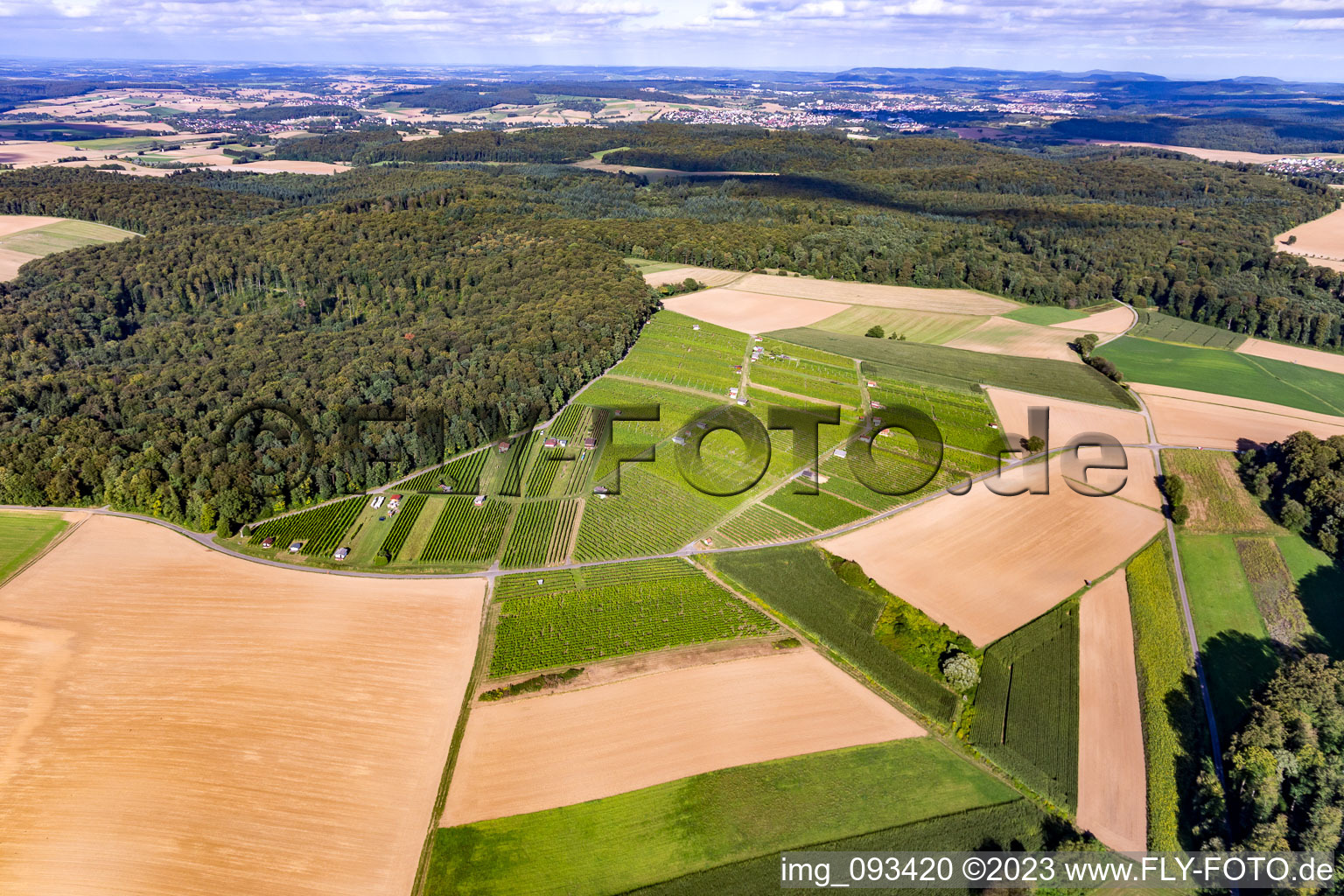 Vue aérienne de Hasensprung (Viticulture) à le quartier Jöhlingen in Walzbachtal dans le département Bade-Wurtemberg, Allemagne