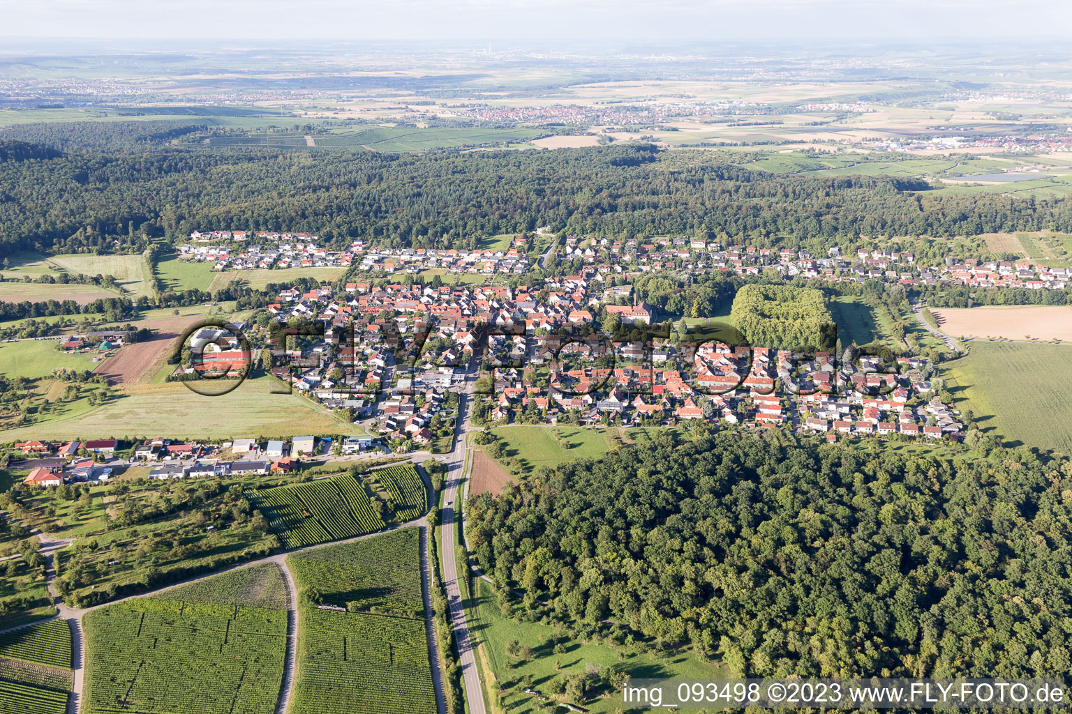 Vue aérienne de Freudental dans le département Bade-Wurtemberg, Allemagne
