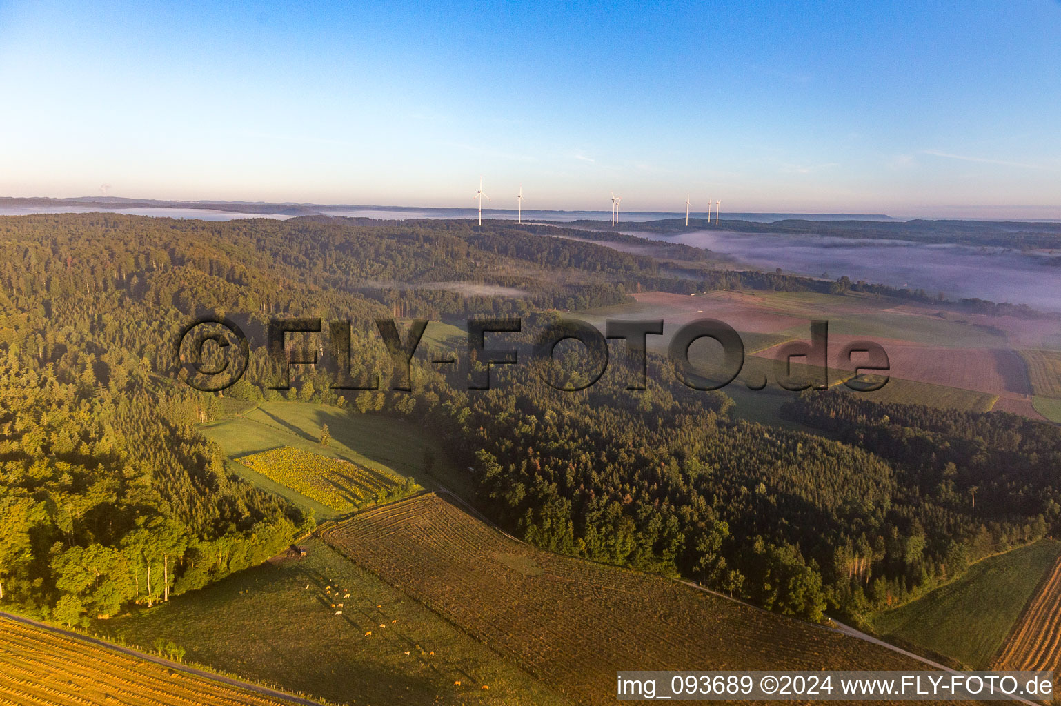 Vue aérienne de Parc éolien Kohlenstr à le quartier Rappoltshofen in Obersontheim dans le département Bade-Wurtemberg, Allemagne