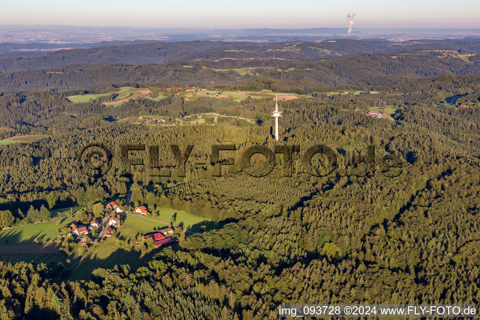 Vue aérienne de Tour de communication dans la forêt à le quartier Grab in Großerlach dans le département Bade-Wurtemberg, Allemagne