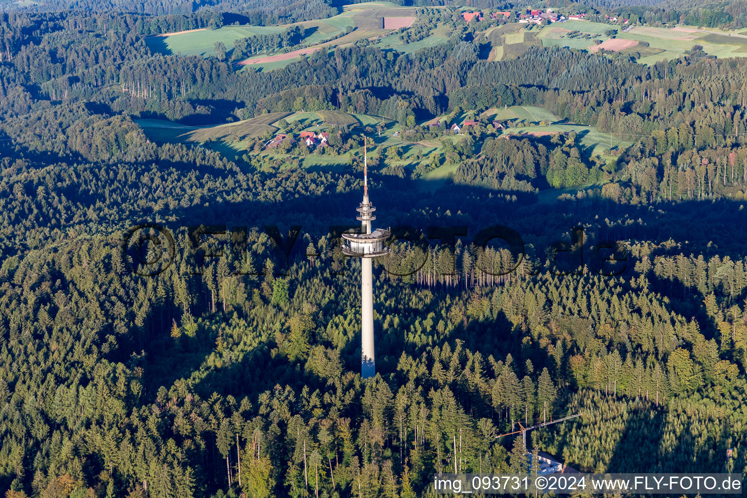 Photographie aérienne de Tour de communication dans la forêt à le quartier Grab in Großerlach dans le département Bade-Wurtemberg, Allemagne